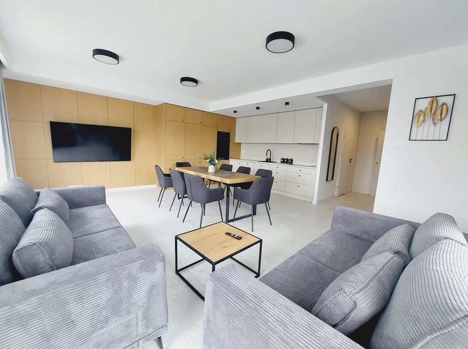 Przestronny salon w apartamencie z ogródkiem – Kraków Podgórze